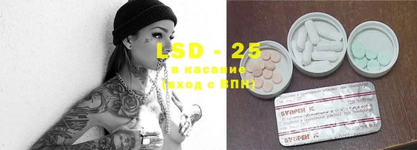 spice Богородск
