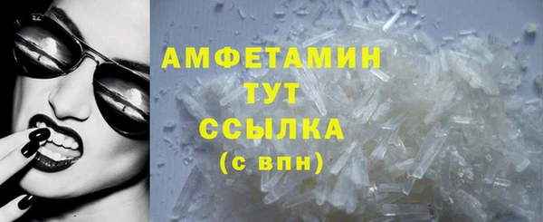spice Богородск