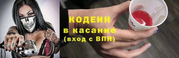 прущий лед Богданович