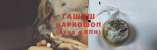 прущий лед Богданович