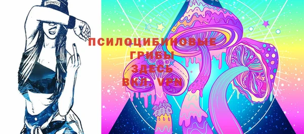 молекула духа Бугульма