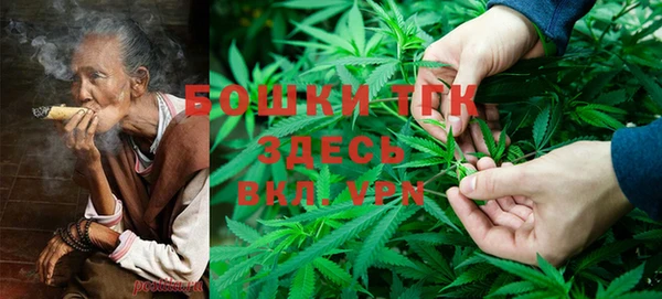 spice Богородск
