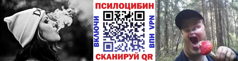 как найти закладки  Горно-Алтайск  Псилоцибиновые грибы ЛСД 