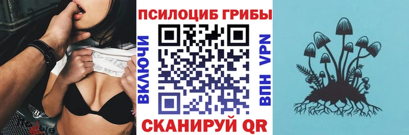 Галлюциногенные грибы Cubensis Горно-Алтайск